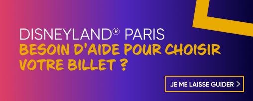 LP - Disneyland Paris